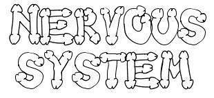 logo Nervous System